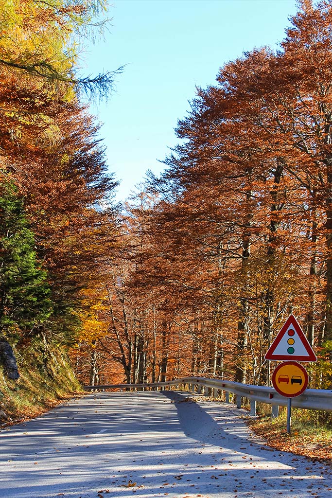 Driving in Triglav National Park, Slovenia will give you lots of winding mountain roads like this one. If you are there in autumn, you will see beautifully coloured trees all over the place.