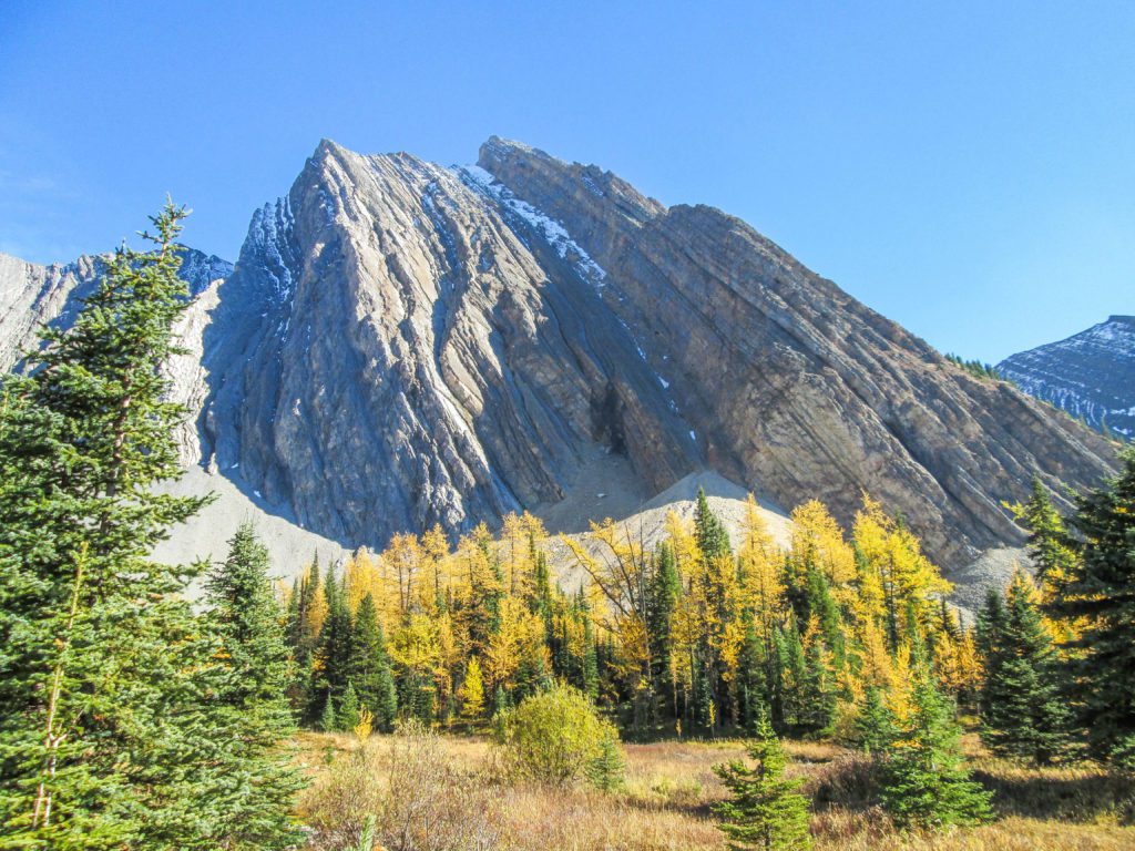 Mountain above Chester Lake with yellow larch trees infront in Alberta Canada