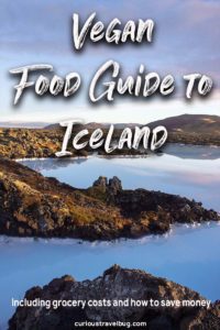 Finding vegan and vegetarian food in Iceland doesn't have to be difficult. This guide includes the best vegan restaurants I ate at during my Iceland trip as well as tips for saving money on your food budget and some grocery costs. Covers Reykjavik and the South Coast including Vik. #Iceland #Vegan #Travel #Food