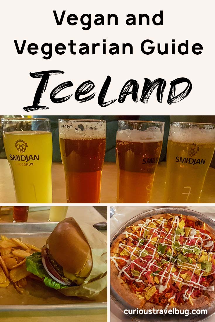 Iceland is full of great vegan and vegetarian food for even travelers on a budget. This guide includes restaurant recommendations for the best vegan food I had during my trip to Reykjavik and the South Coast, including Vik. Tips on how to save money and grocery costs are also included. #Iceland #vik #reykjavik #vegan #vegetarian #food #travel #foodie