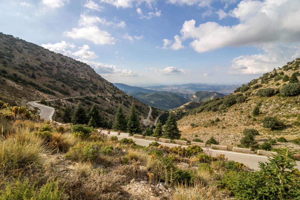 Sierra de Grazalema Natural Park road