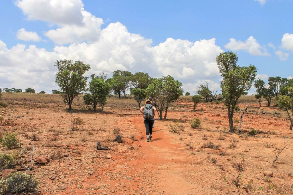 Hiking through the savannah landscape of red earth in Isalo