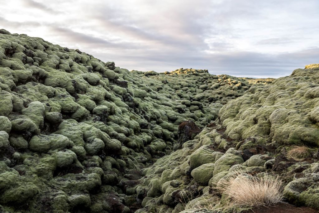The Eldhraun Lava Fields are a vast area in southern Iceland that is covered in lumpy lava, that is now covered in a thick layer of moss.