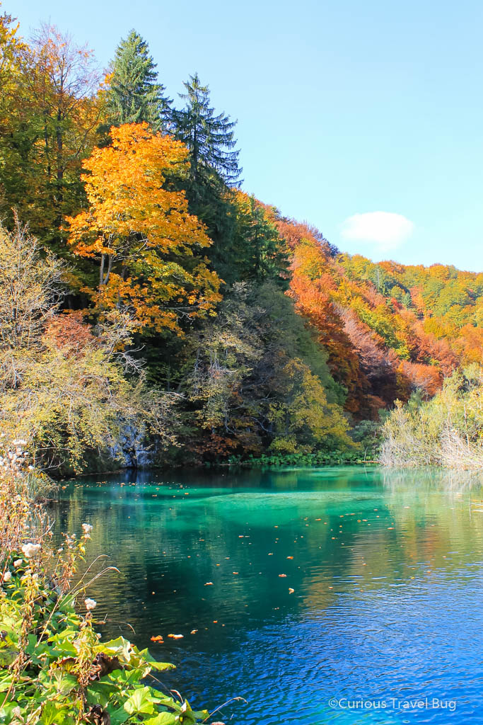 Teal lake Plitvice Croatia. This lake at Plitvice National Park in Croatia is lit up by the afternoon sun and the gorgeous autumn colours of the park.