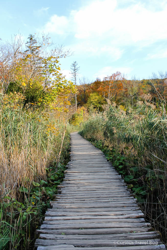 Plitvička jezera national park in Croatia has beautiful boardwalks like this one that go through tall grasses and alongside some of the most beautiful lakes in Croatia.