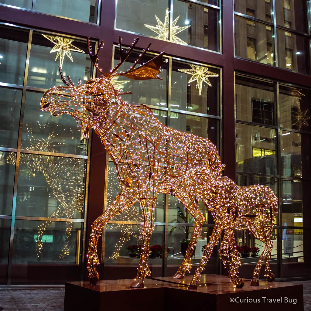 Moose and baby moose Christmas Lights. Toronto's Financial District is a surprisingly great place to walk around and take in Christmas Lights in Toronto.