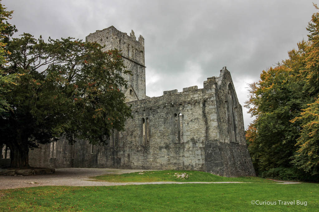The ruins of the Muckross Abbey. This is one of the best things to do when visiting Killarney in Kerry. The Abbey is just a short walk or jaunting car ride from Muckross House and takes you into Killarney National Park.