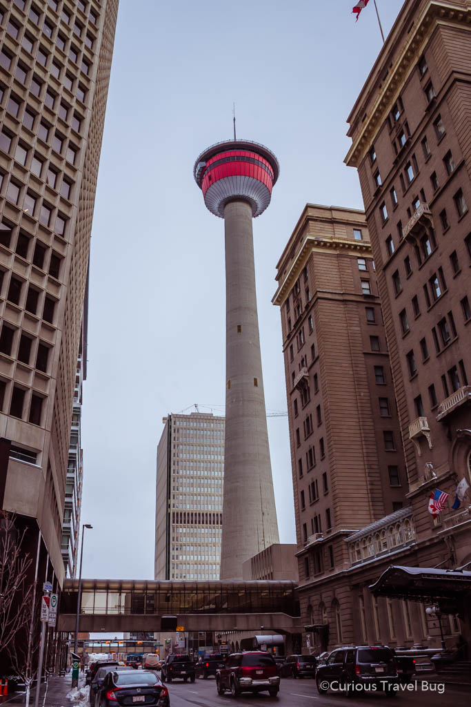 The Calgary Tower is one of Calgary's most iconic views and is a top photography location in the city. It's worth visiting to see it and to take in the view from the top.