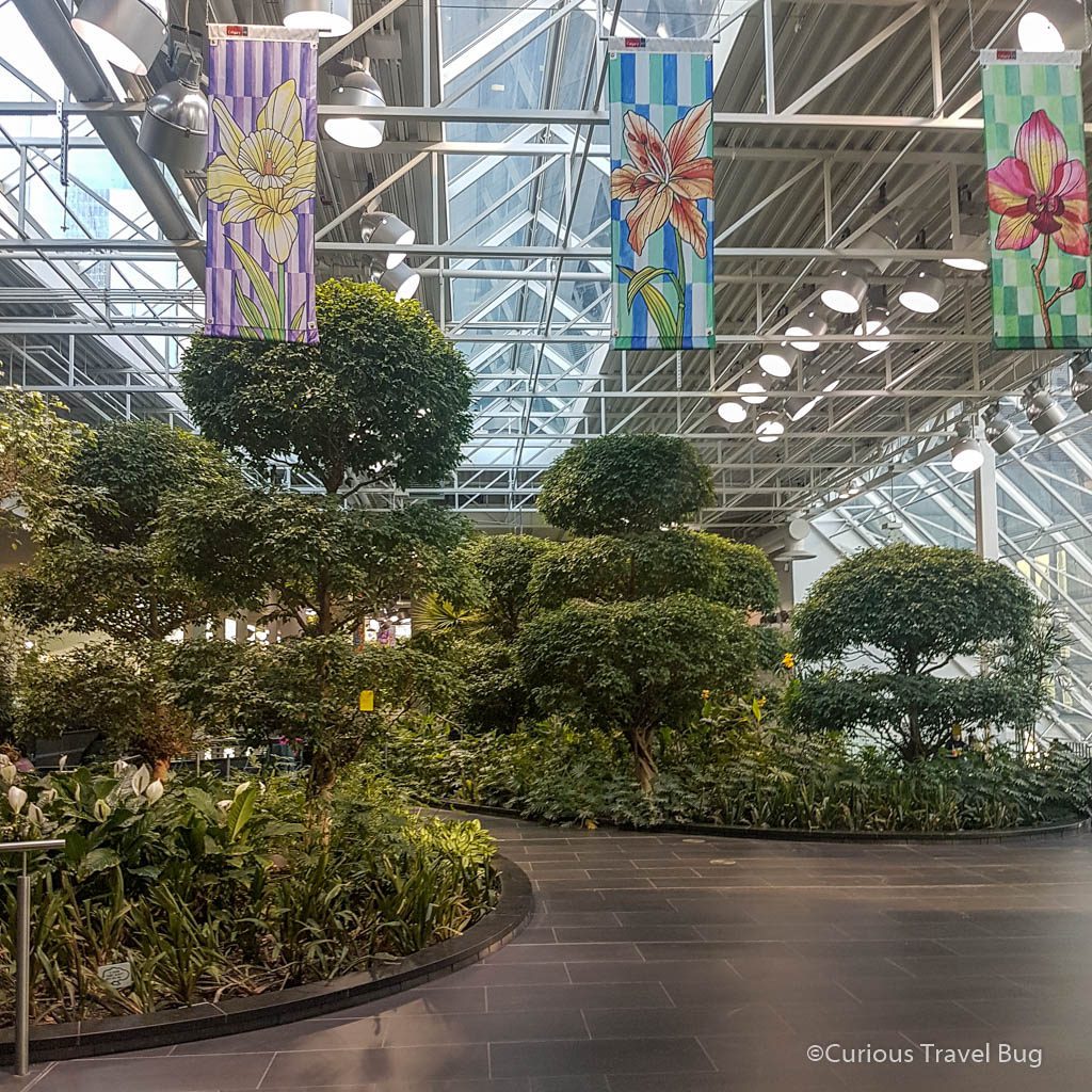 Devonian Gardens in Calgary's Core Shopping Centre is one of the city's best photography locations and happily, it's indoors.