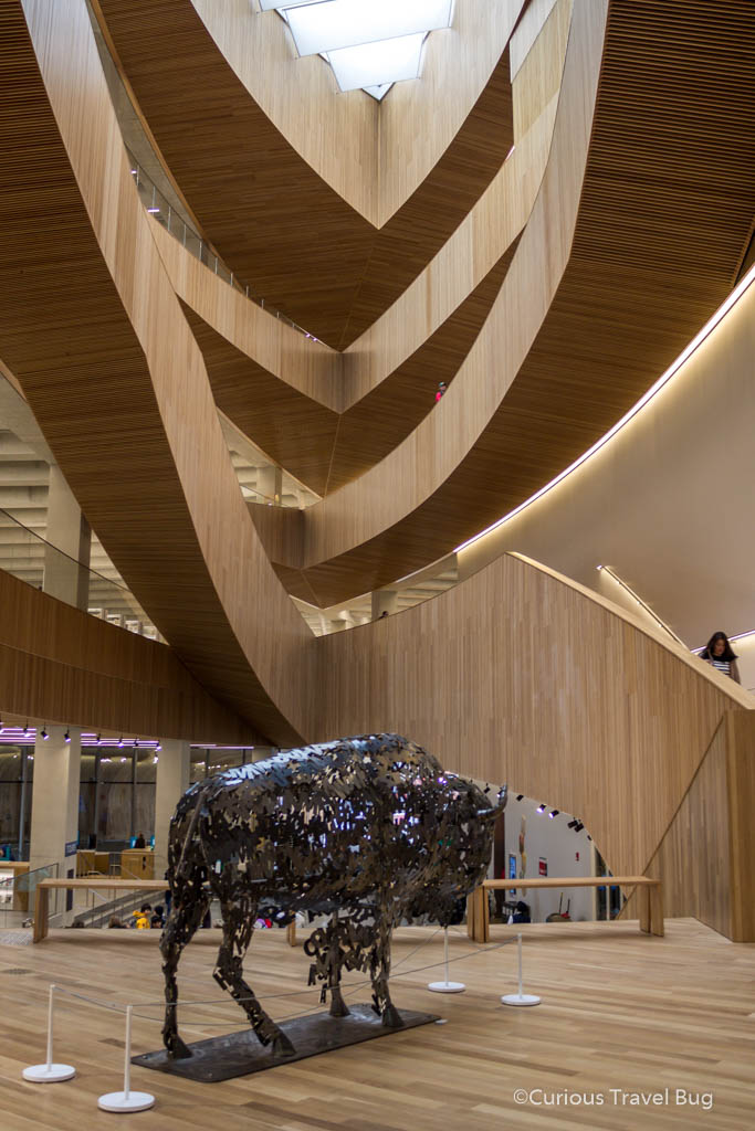 Interior of Calgary's Central Library including a sculpture of a bison. The curving wood staircase is a beautiful spot to take pictures at.
