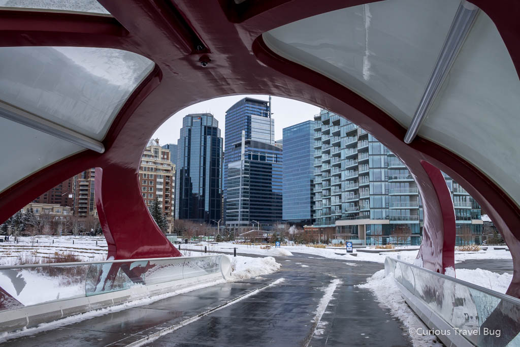 Emerging from Calgary's Peace Bridge into downtown. This is one of the top photography locations in Calgary and is a great Calgary photoshoot location.