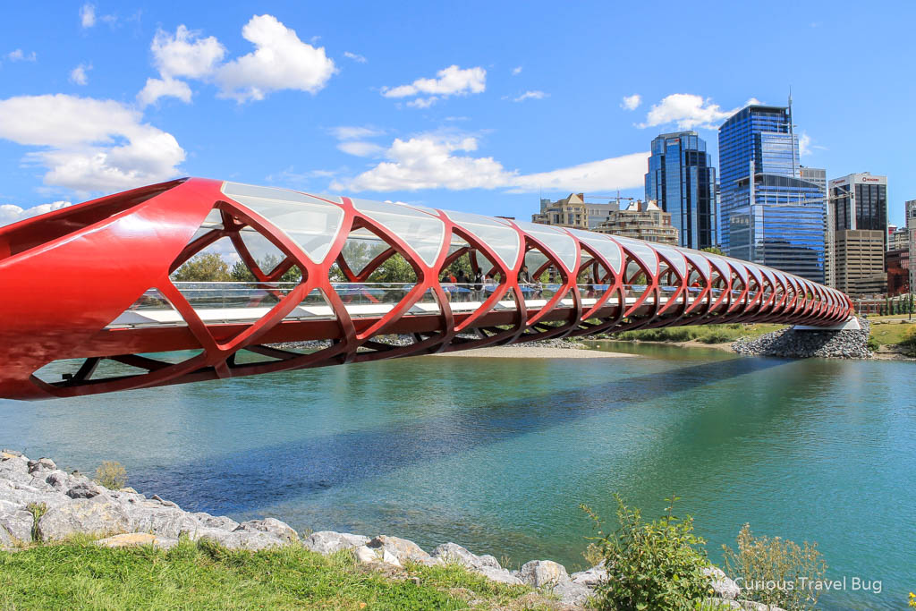 Calgary's Peace Bridge during summertime. This is one of Calgary's top photography locations.