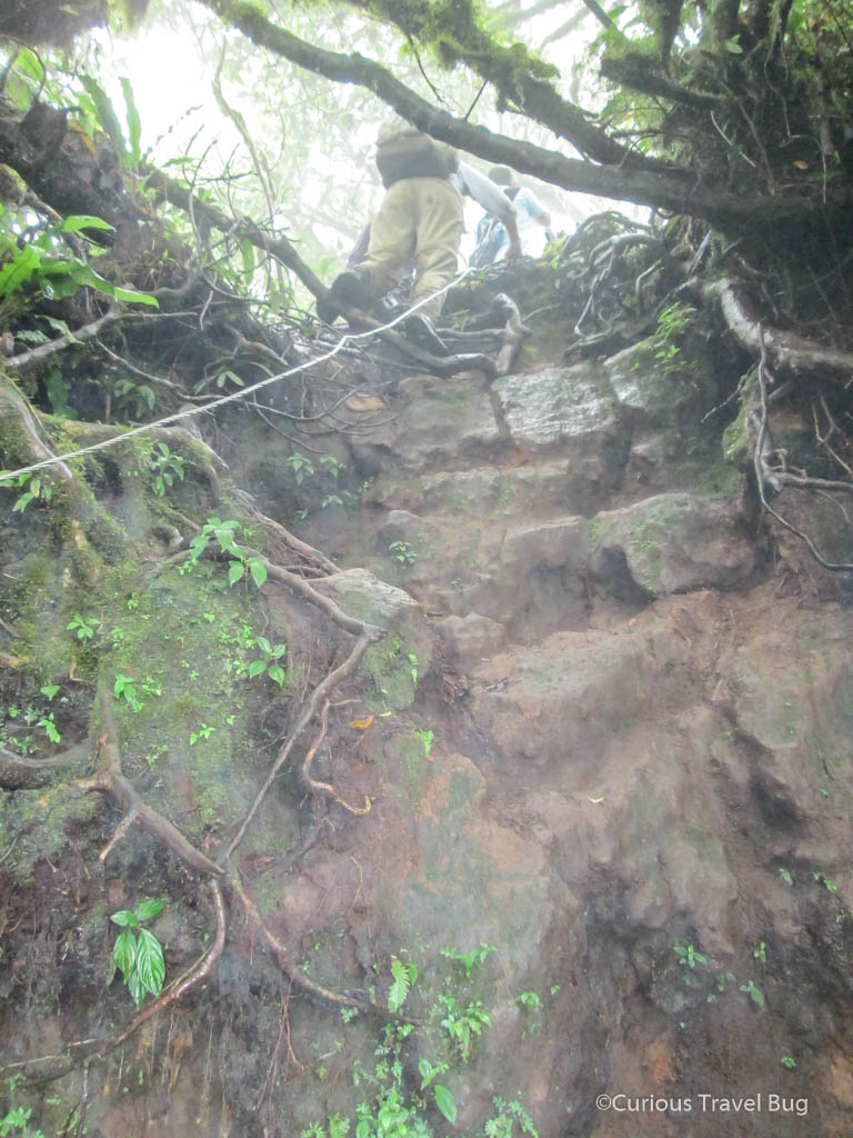 One of the most difficult parts of the Maderas volcano hike involves this section of the trail which is cut into the rock of the volcano.