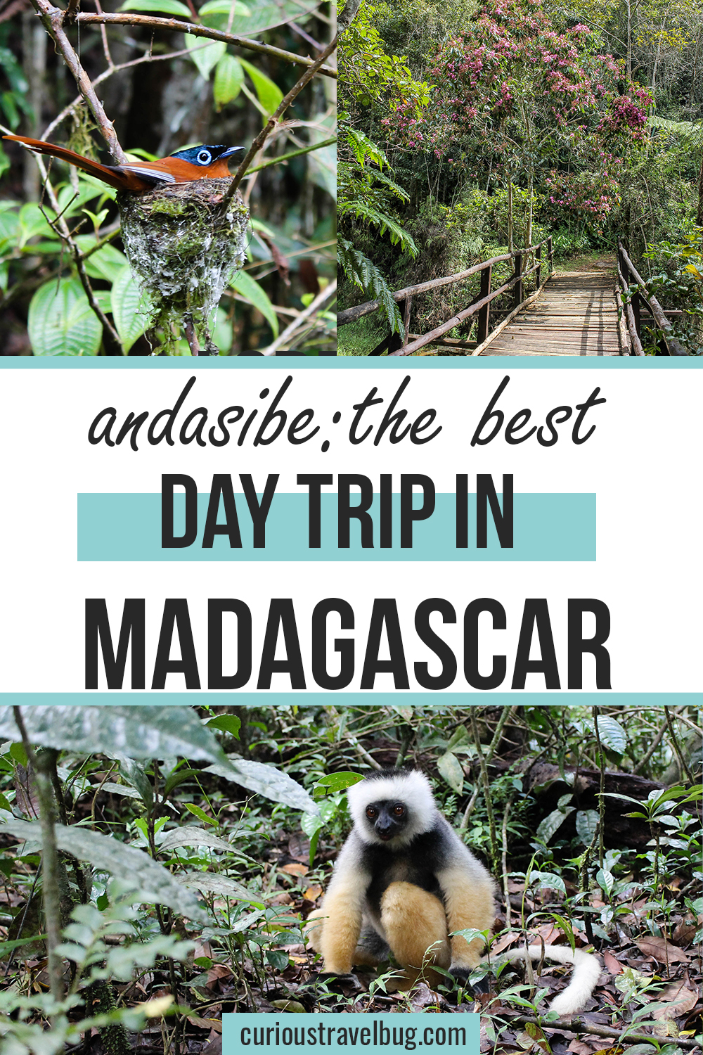 Andasibe National Park makes for the perfect day trip from Antananarivo, the capital. If you are looking to see lemurs, chameleons, and more, this is a great place for a quick hike to see the wildlife of Madagascar. Madagascar travel
