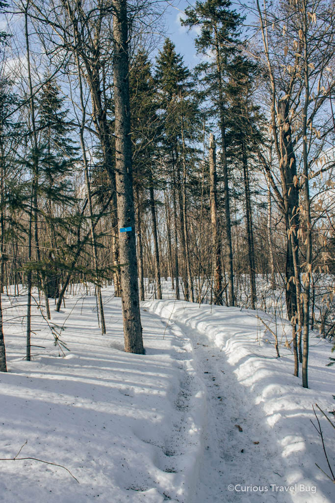 The packed down winter hiking trails in Mauricie National Park, Quebec. This is a great winter day trip from Montreal.