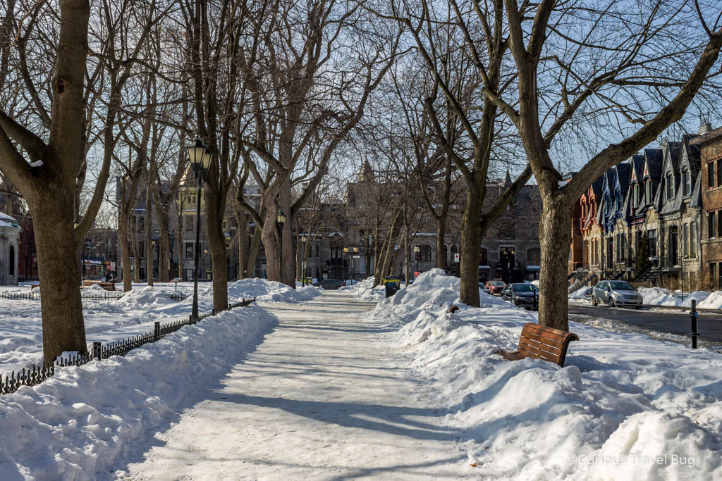 The snowy paths of Place Saint Louis in Montreal's Plateau