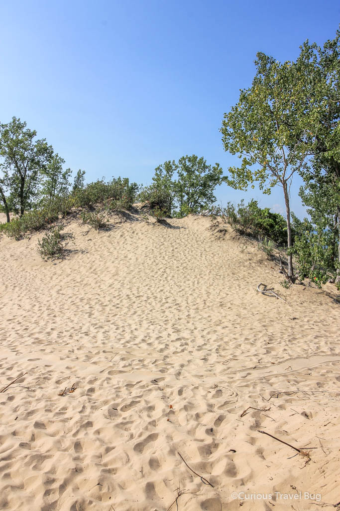 Sand dunes at Sandbanks Provincial Park during day time. These towering dunes are the highlight of the park and are perfect for a day trip from Toronto to Sandbanks