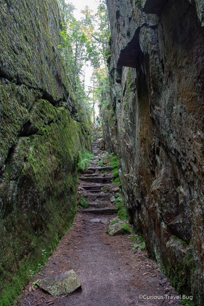 Narrow walkway between a gorge in Lake Superior Provincial Park at the Agawa Rocks.