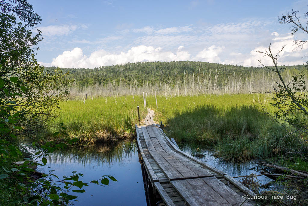 Boardwalk through a wetland in Pukaskwa as part of the coastal hiking trail. This is the most beautiful trail in the park and one of the best hiking trails in Northern Ontario