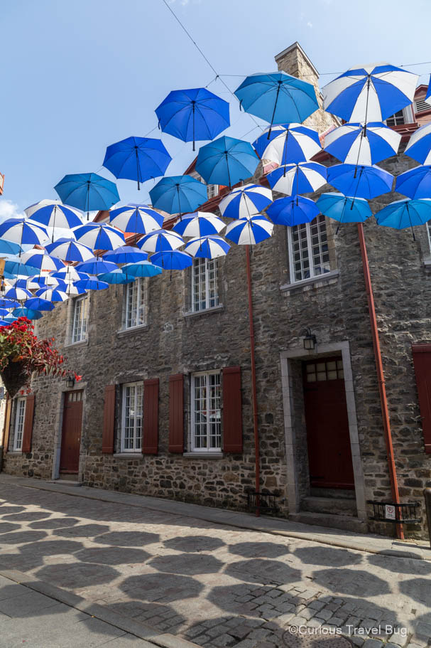Blue and white umbrellas over a street in Quebec City