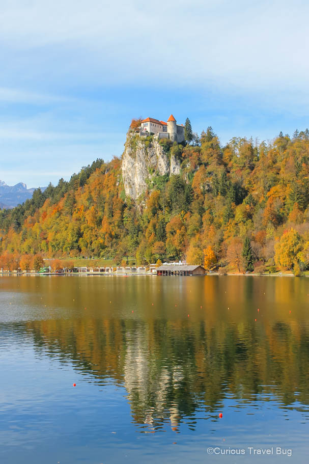 Bled Castle above Lake Bled on a sunny autumn day in Slovenia. This is a classic addition to any Slovenia itinerary