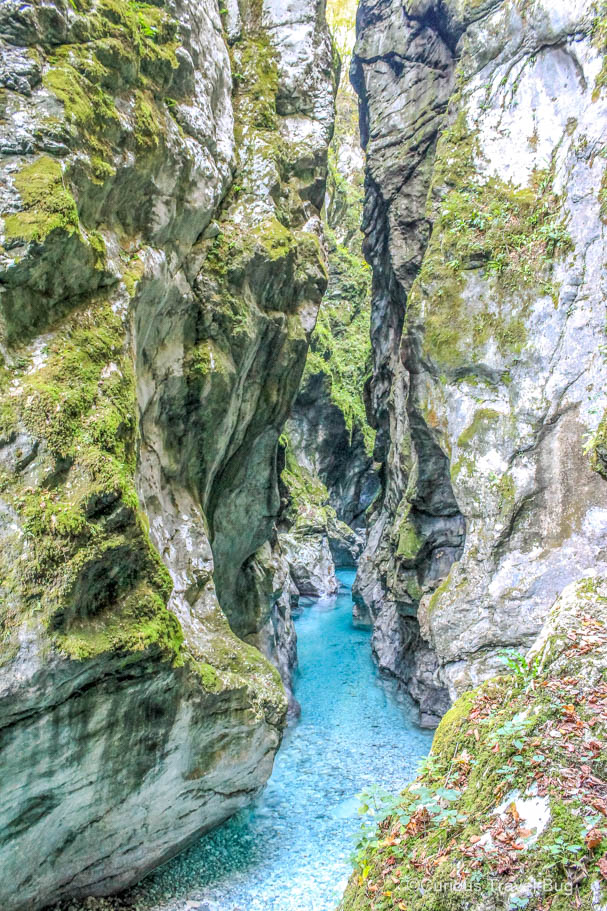 The clear water in Tolmin Gorge, Slovenia