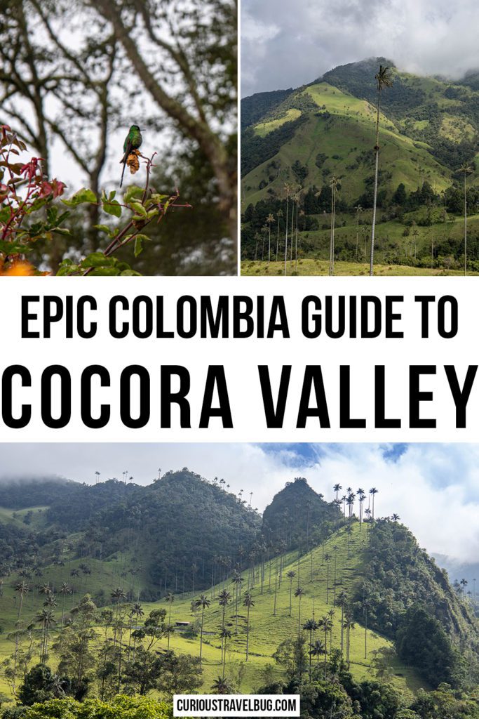 The Cocora Valley is the perfect hiking destination in Colombia. Found in the Coffee Axis near Salento, there is plenty to do in this region to keep you busy for a few days including epic hikes with amazing views, coffee tasting, and exploring the sights around Salento. This guide has everything you need for the perfect vacation to Salento and the Cocora Valley of the Colombian Andes.