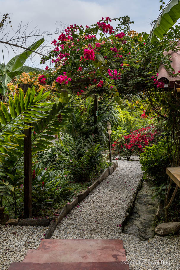 The grounds of Casas Viejas are planted with tons of beautiful flowers that attract hummingbirds