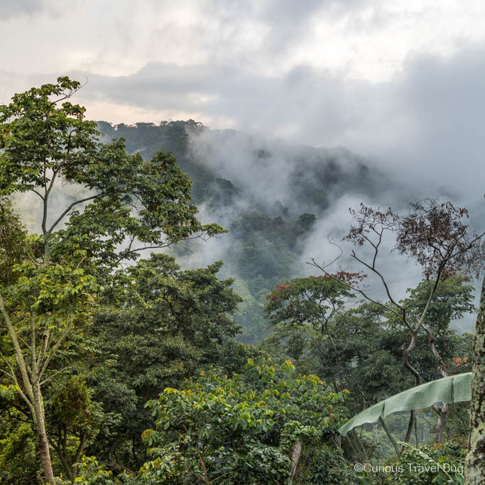 Clouds rise above the forest of Minca, Colombia