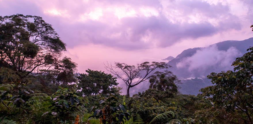 Sunset in the Sierra Nevada de Santa Marta mountains of Minca in northern Colombia. The clouds rise above the cloud forest.