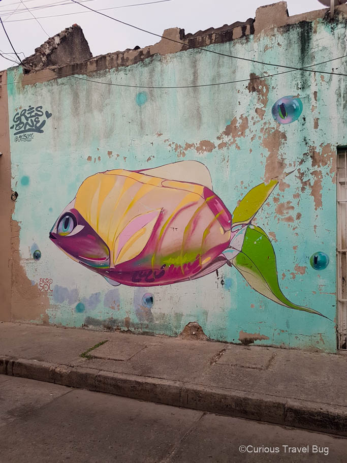 A colorful fish is one example of grafitti that the Getsemani district is known for.