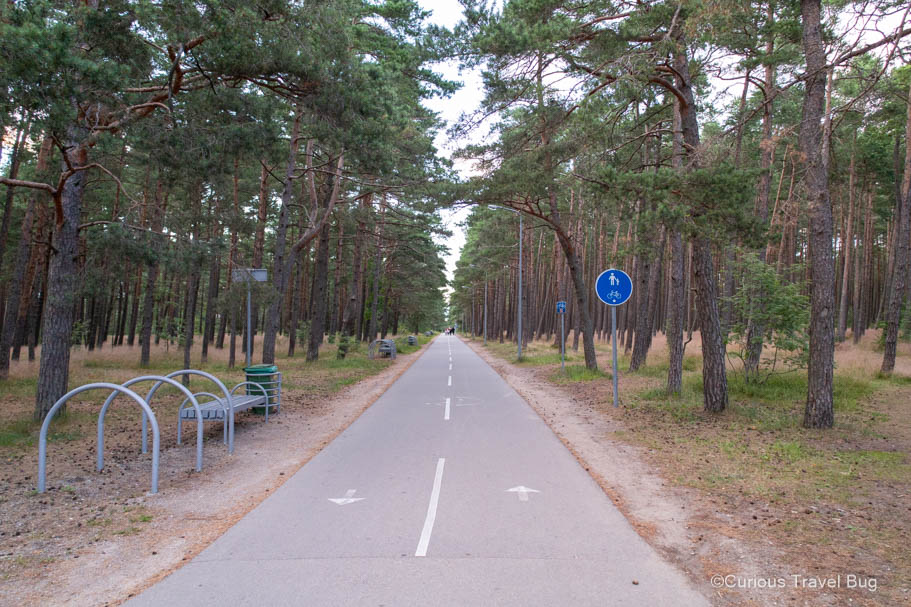 Bike trail through the pine forest of Palanga, Lithuania