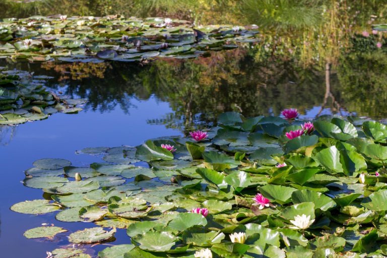 Visiting Giverny, France and Monet’s Gardens