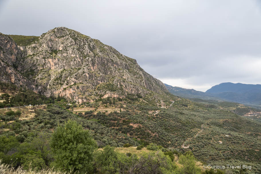 Scenic views of the mountains with olive groves on the drive from Athens to Delphi, Greece