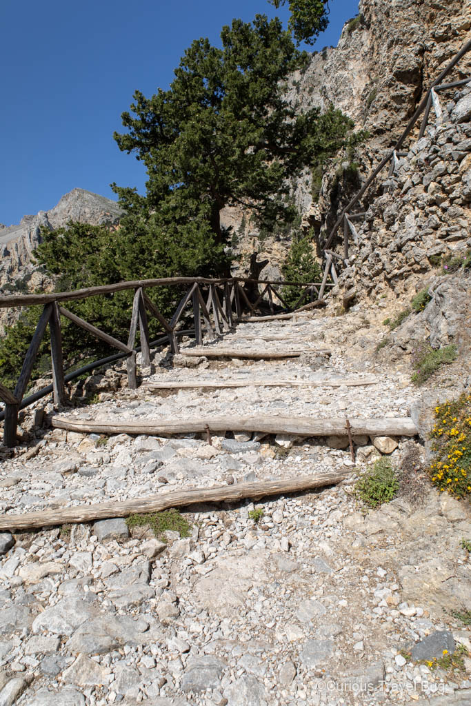 The trail at the beginning of Samaria Gorge with some steps and lots of rocks