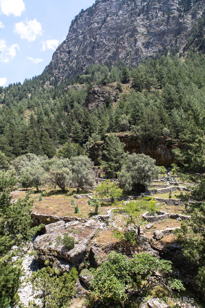 Stone ruins that show the outline of buildings in the old village of Samaria in Crete. The white mountains are the backdrop that are dotted in trees.