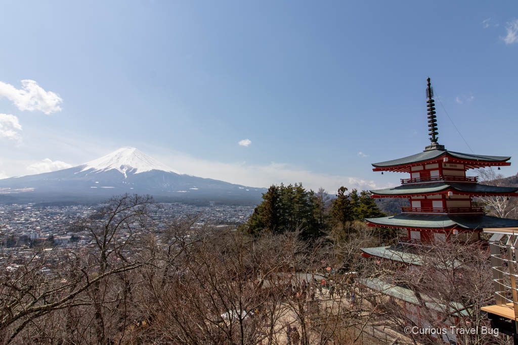 View of Mount Fuji on a clear sunny day with Chureito Pagoda. This is the perfect day trip from Tokyo to see Mount Fuji while in Japan for two weeks