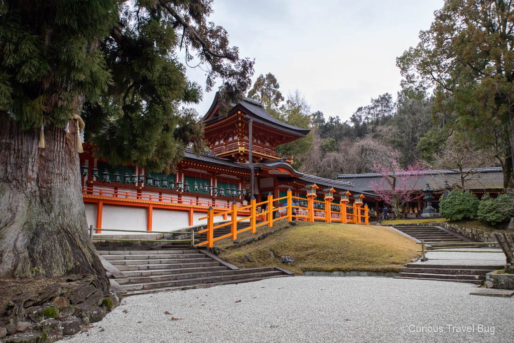 Kasuga-taisha Shrine with sakura flowering and bright vermilion fencing in Nara, Japan