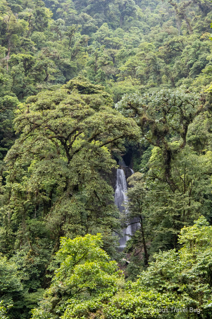 First view of a main waterfall at El Tigre Waterfalls