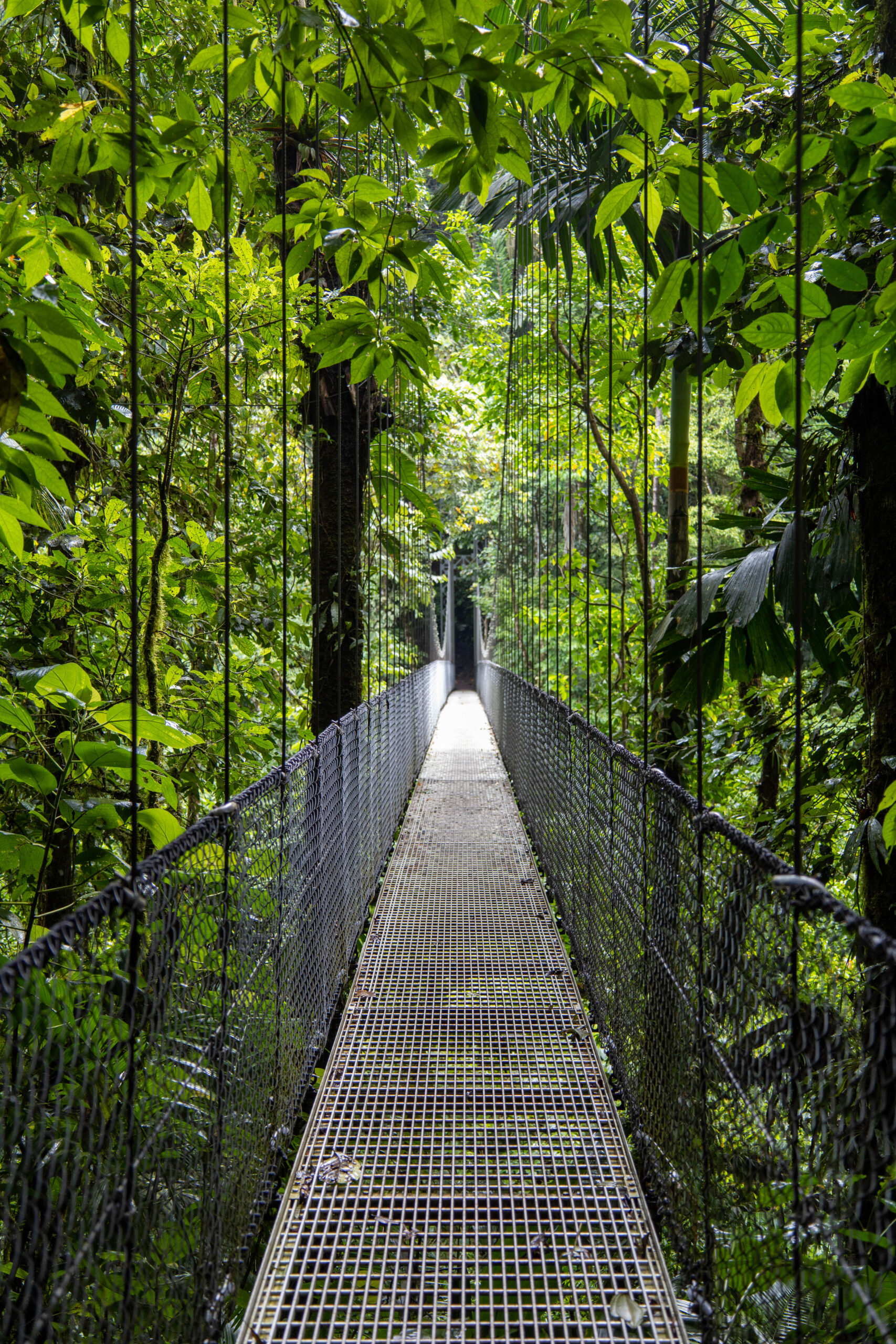 La Fortuna, Costa Rica has so much to offer visitors in three days. This itinerary covers all the details and the must do activities in the region.