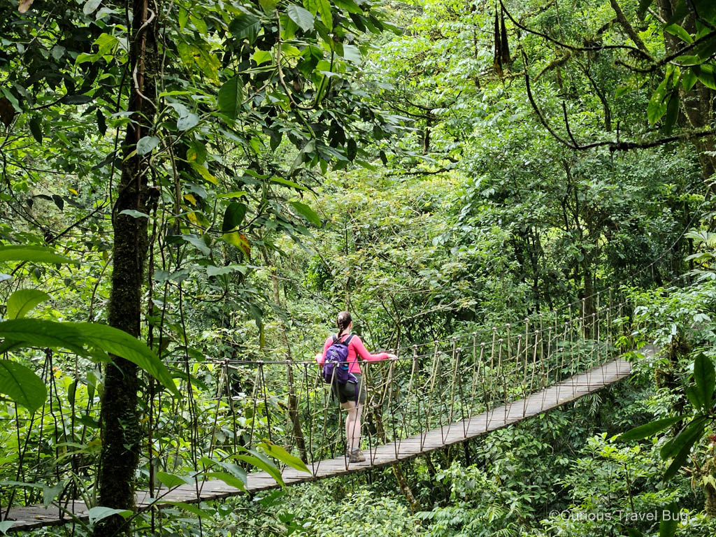A hanging bridge in El Tigre Waterfalls with the author of Curious Travel Bug walking across it