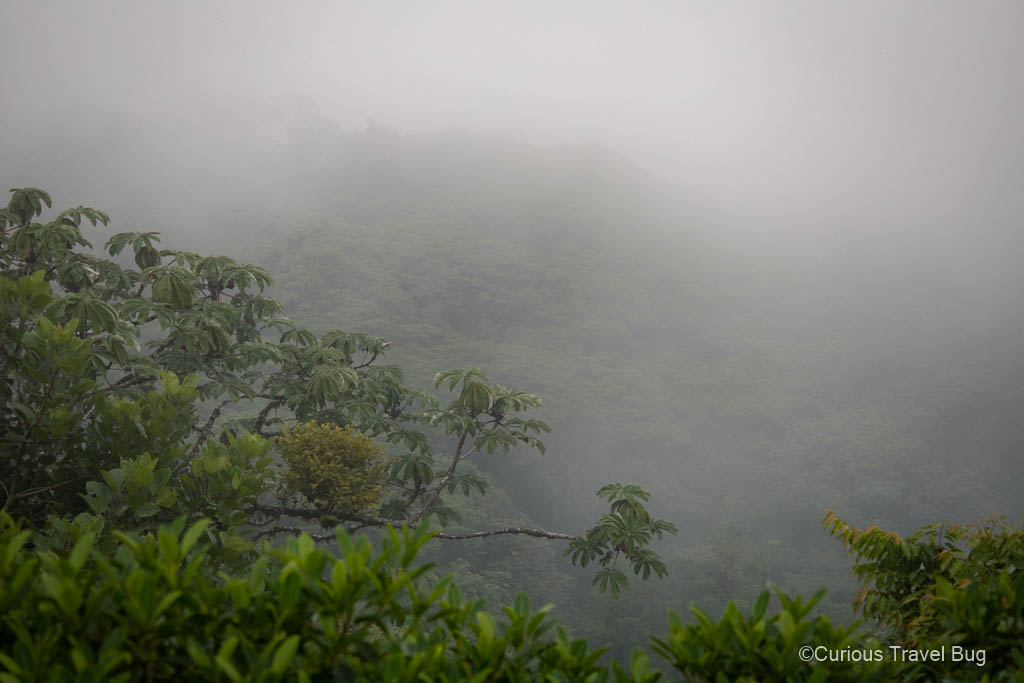 View from the lookout tower on the Youth Challenge trail of Santa Elena Reserve. On a cloudy day you will see very little.