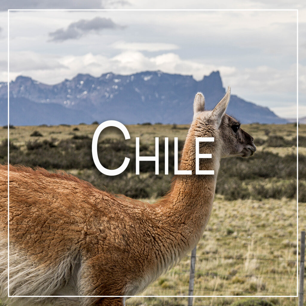Icon for Chile that shows a guanaco with mountains in the background and leads to blog posts about Chile